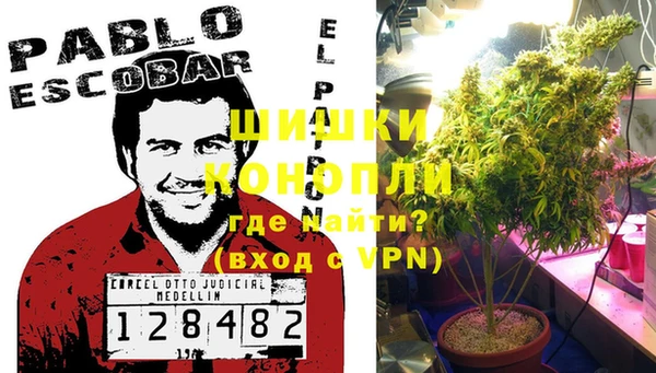 хмурый Аркадак