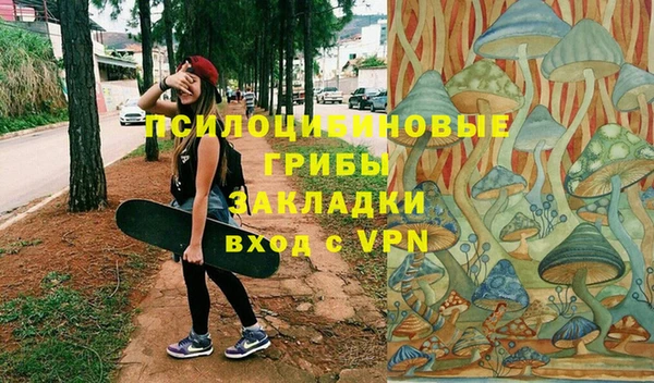 хмурый Аркадак