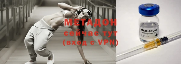 хмурый Аркадак