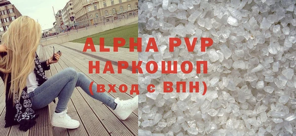 хмурый Аркадак