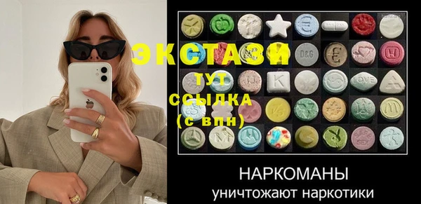 хмурый Аркадак
