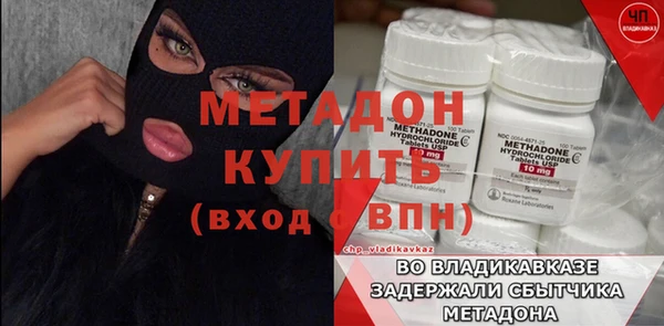 хмурый Аркадак