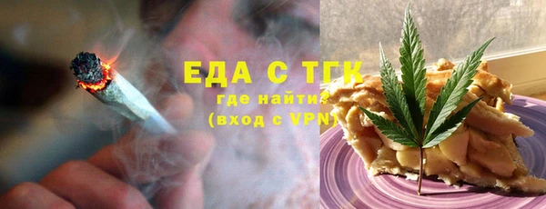 хмурый Аркадак