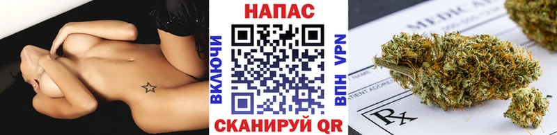 Бошки Шишки конопля  Томари 